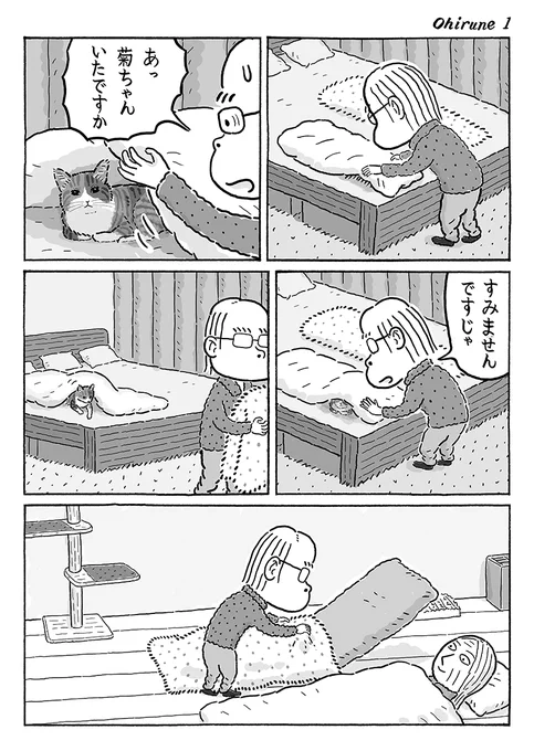 3ページ猫漫画「午後のご機嫌」 #猫の菊ちゃん 