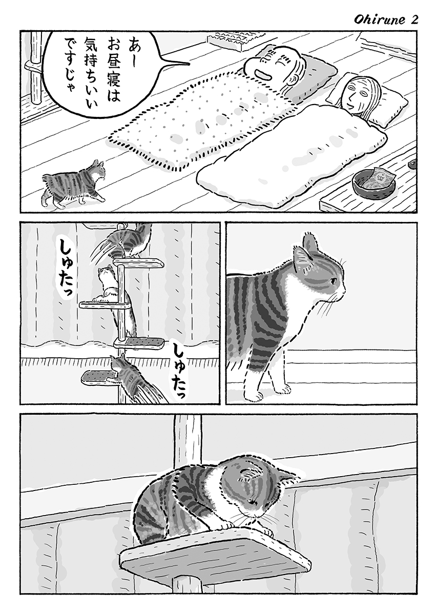 3ページ猫漫画「午後のご機嫌」 #猫の菊ちゃん 