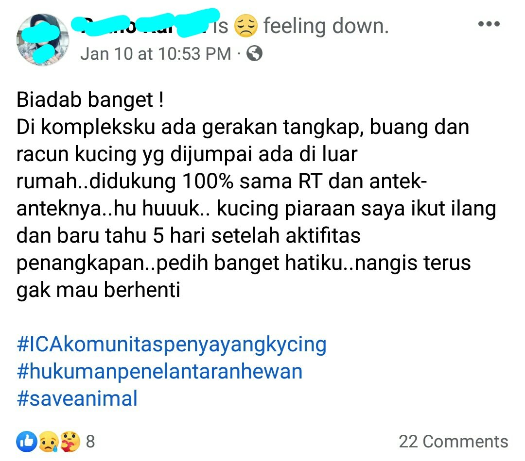 anggiedwidowati's tweet photo. Yang kek gini enaknya diapain ya. Kejam banget.
#savekucing https://t.co/BMuqb7BKCx
