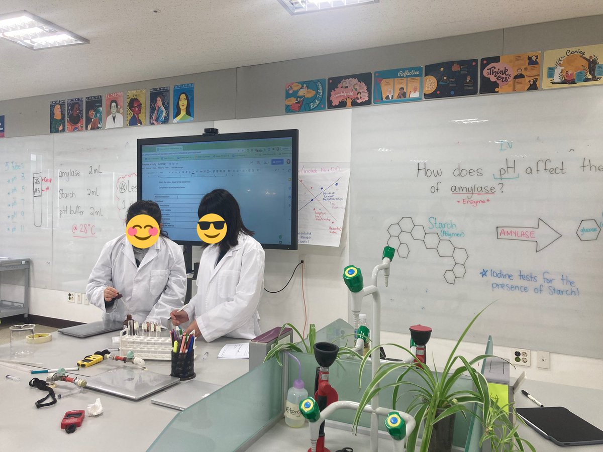 yasmine_yavari's tweet photo. #BHAScience students learning about the ideal conditions required for enzymes to function. I love how many practical skills are involved in this lab, as it sets students up for the opportunity to explore their own questions in the future. #MYPBio #MYPScience #Biology https://t.co/eUluPHIZ6Y