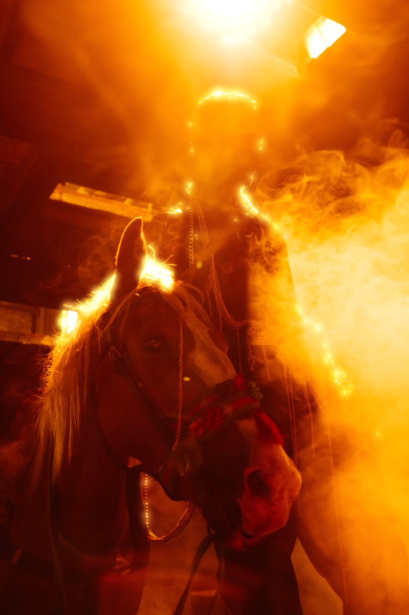scrdofmee's tweet photo. Centaur🐴📸 https://t.co/XiAbYhN0kE