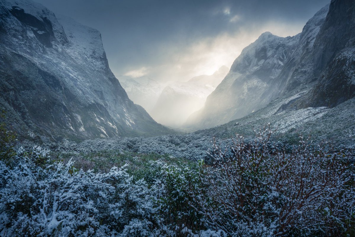 WilliamPatino_'s tweet photo. Grand Awakening (2021) - A sublime moment as falling snow soon gave way to a chorus of angelic light, in the heart of the valley. https://t.co/fXJRJwTSzz