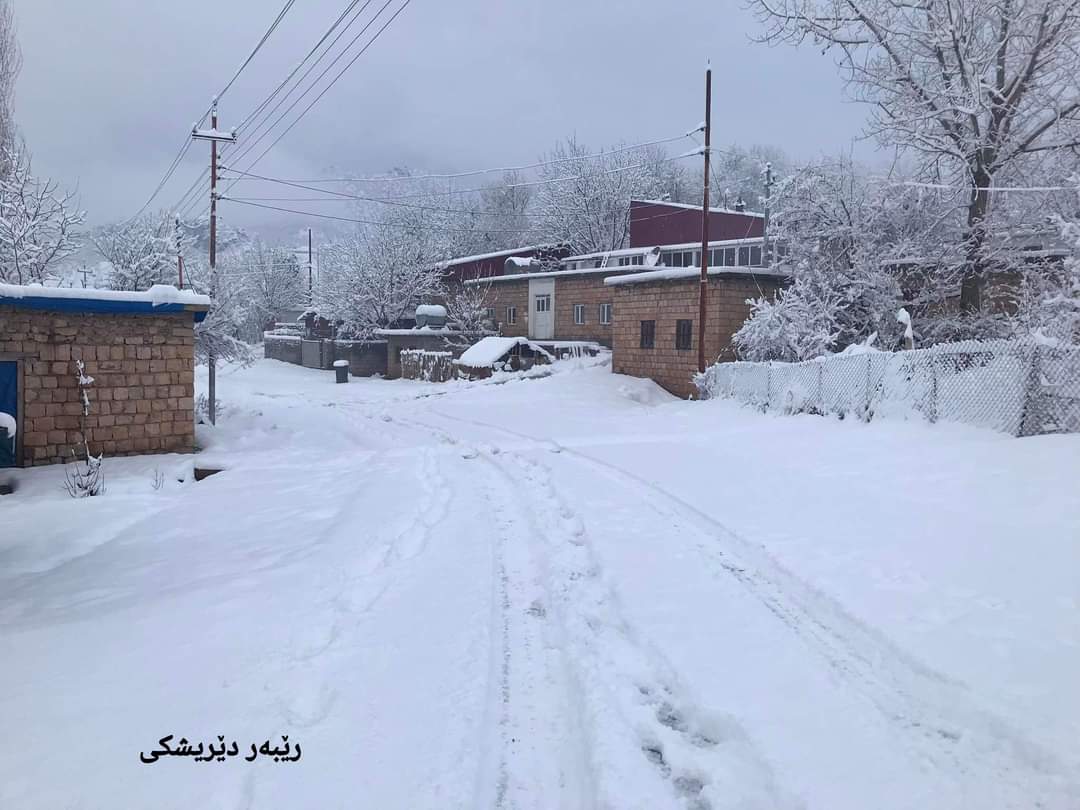CapitalKURD's tweet photo. بەفرێكی زۆر لە قهزای ئامێدی باریوه..
#Kurdistan #Duhok #Amedy https://t.co/4DeIiQiMir