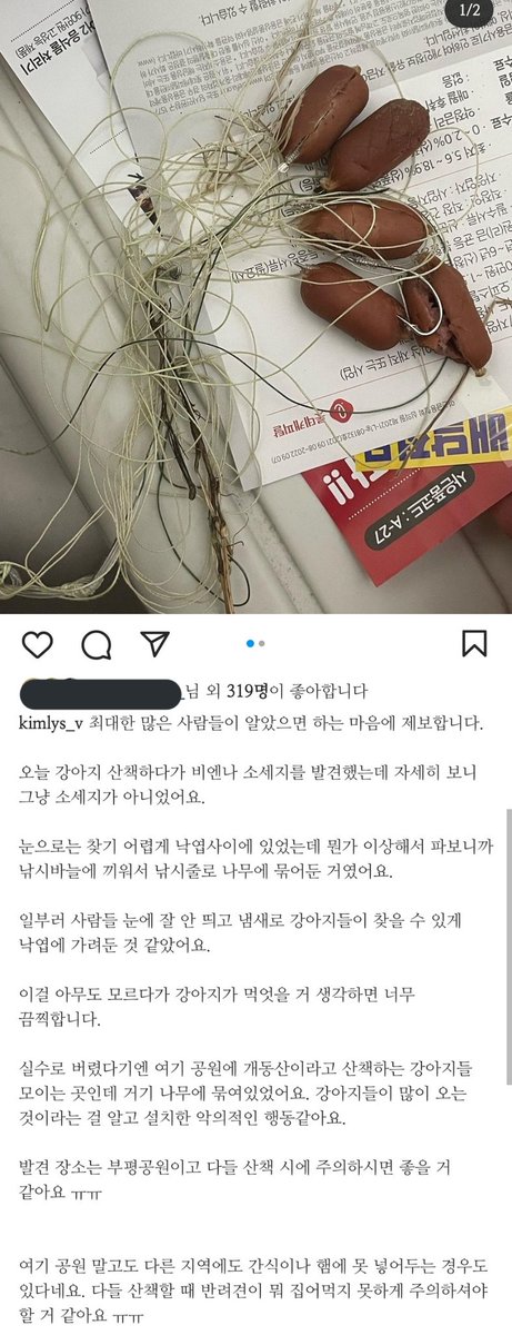 lucky_thegolden's tweet photo. 부평공원이라고 합니다 산책하시는 분들 조심하세요 미친 인간들이 너무 많네요

https://t.co/JbUMHYacpu https://t.co/hjxeQmQHN7