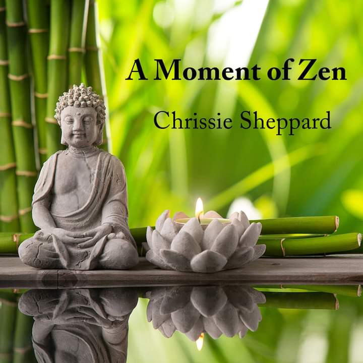 My single A Moment of Zen, enjoy: distrokid.com/hyperfollow/ch…
#distrokid #DistroKidArtist