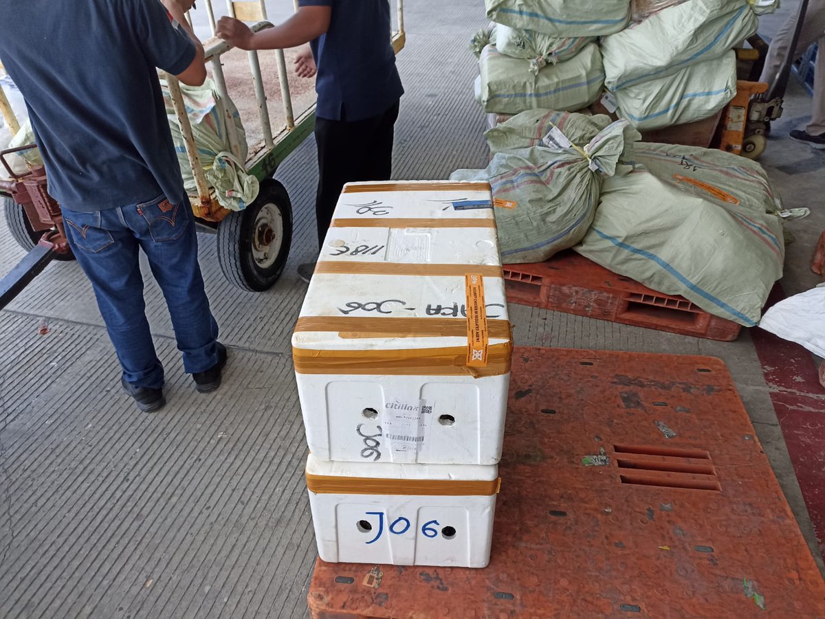 bppmhkp_jogja's tweet photo. 16/01 Pengawasan dan pemeriksaan dokumen lalulintas domestik masuk komoditi kepiting bakau asal Balikpapan di area terminal kargo

#KKPAccelerate #KKPGOID #SAKTIWAHYUTRENGGONO #MENTERIKKP
@bkipm_kkp @harimaryadi @EdiSant87082110 @fish_haryanto @verr_trisnajaya @merry_sundah https://t.co/BXfRieuXoP