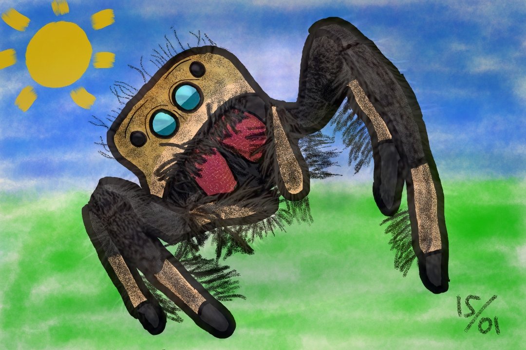 D2F2_'s tweet photo. @hun6ter https://t.co/zwBpqvxyfI

spider (man)  back home https://t.co/QaeepDqmzK