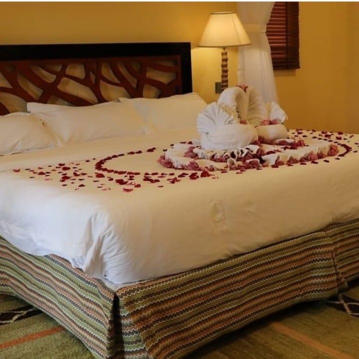 AllInOneToursT1's tweet photo. Take your Honeymoon experience to the next level here @sawelalodges  Home of honeymoons and romantic escapes rates include:

A minimum of 4 nights @ KSH 22,000 per night 
Included in the package are:
#nickruto #travellers #allinonetours #travelwithus #travelphotos https://t.co/qnBhW3y7AN