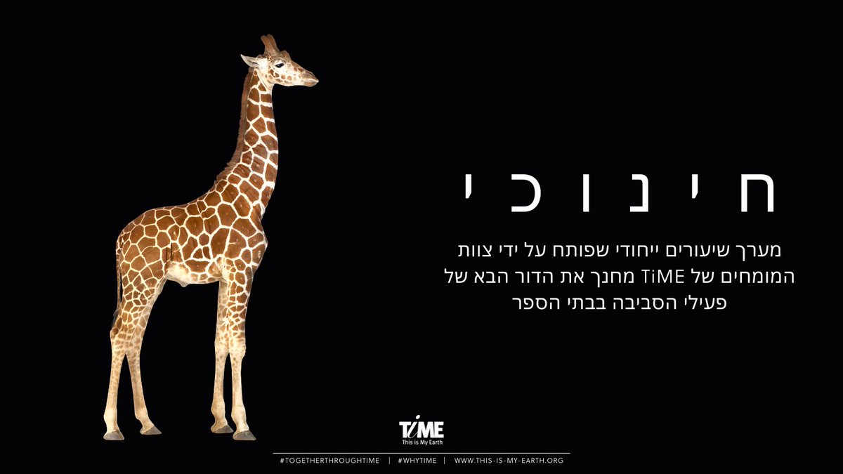 ThisisMyEarth's tweet photo. Fighting extinction is πππ¨πππ§ππ’π‘ππ because TiME β’ This is My Earthβs ground-breaking & engaging educational platform fosters the next generation of conservationists
https://t.co/KWl9EgJ481
π¦
#environmentaleducation #conservation
#WhyTiME #TogetherThroughTiME https://t.co/Isr7ma4XQo