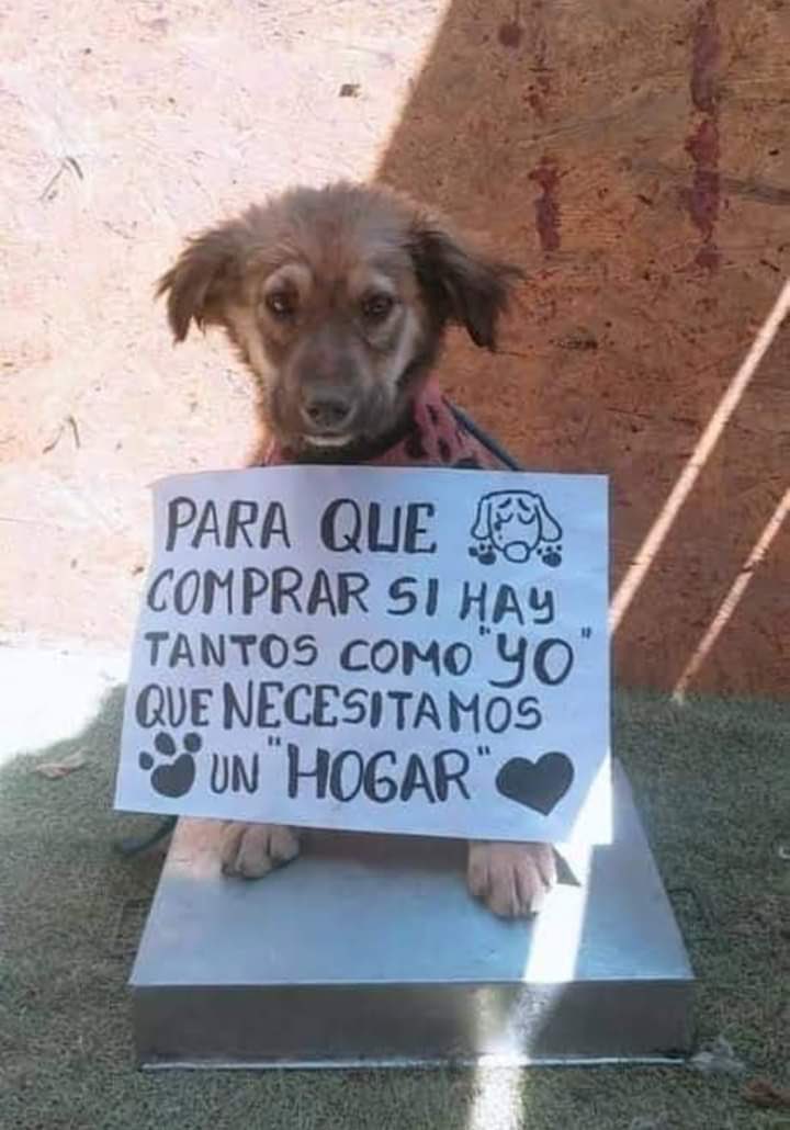 GaxiolaLuisito's tweet photo. @Horacitu ❤️❤️❤️ https://t.co/gHLY5rNV9w