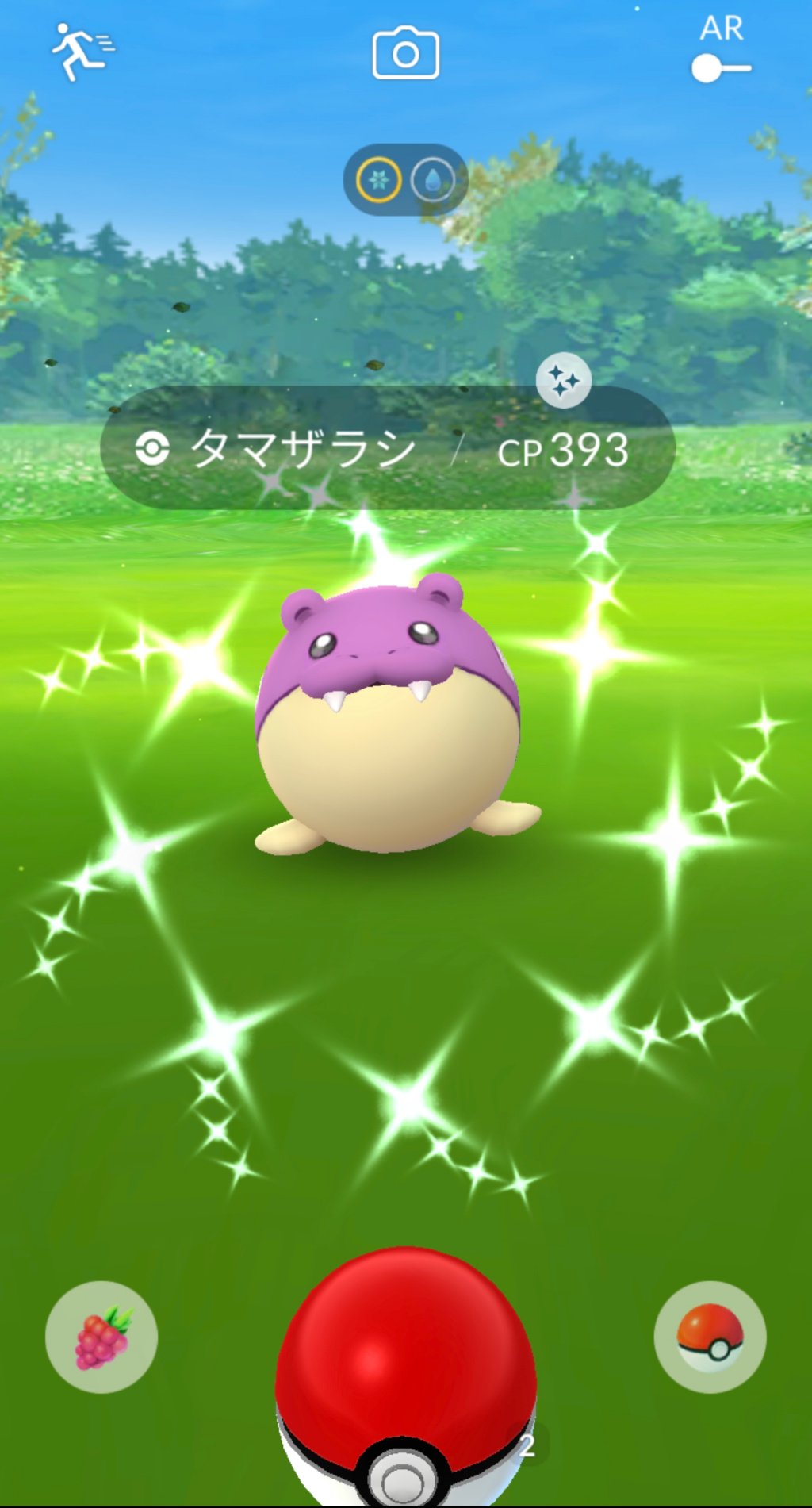 溝口 泰成 コミュニティデイ目的で おこうを３時間ほどたきました 色違いタマザラシ 7匹ゲット いつもより少なく感じました 色違い通常色ともに 個体値厳選し つららトドゼルガ作りました ポケモンgo コミュニティデイ タマザラシ 色違い