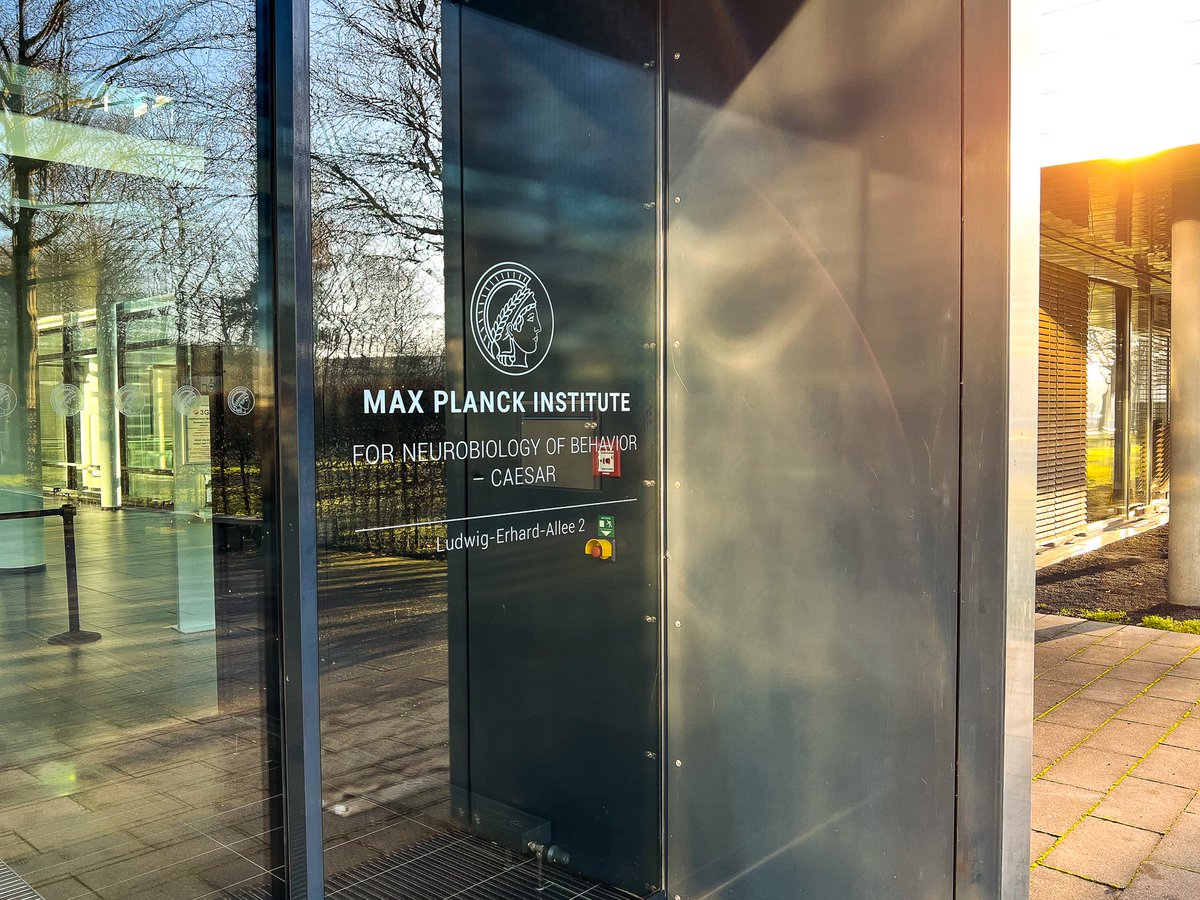 MPINB_outreach's tweet photo. Happy to be part of the Max Planck Family! Read more about our research in our press release https://t.co/mgtefZez7G or check out our new website https://t.co/Ti904a4TtB https://t.co/zVFD5dp154