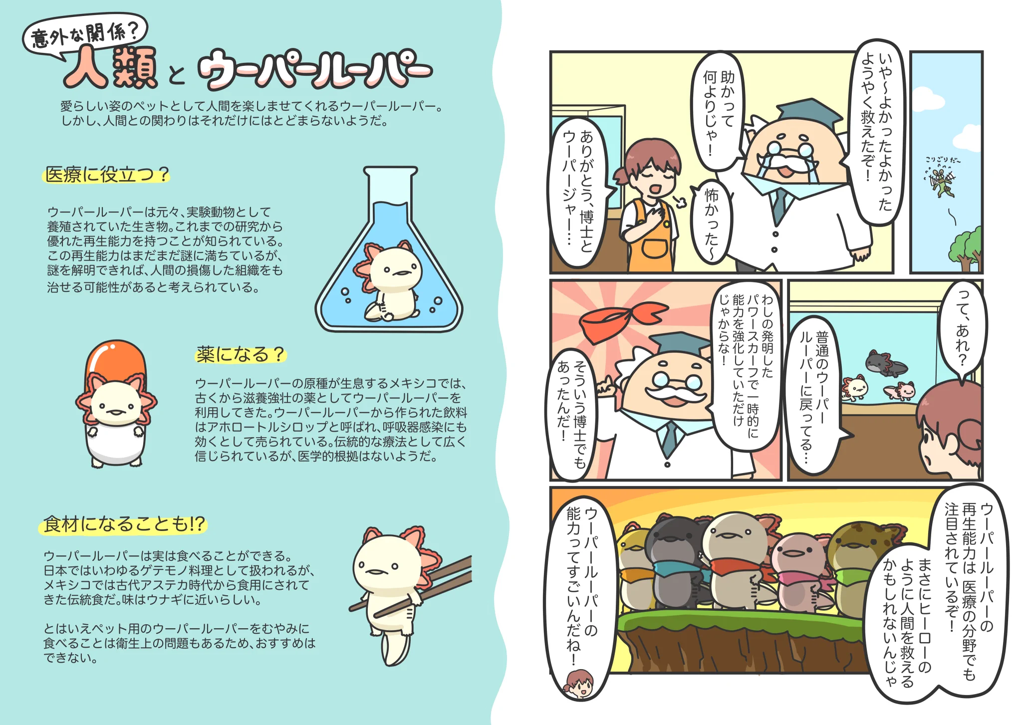 人生はウーパールーパー on X: 