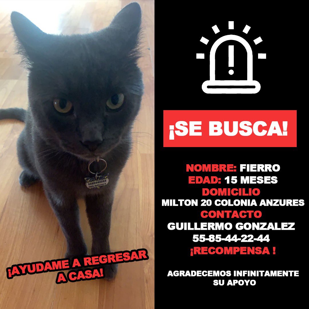 Mi compañero #Fierro me ayudan con su rt