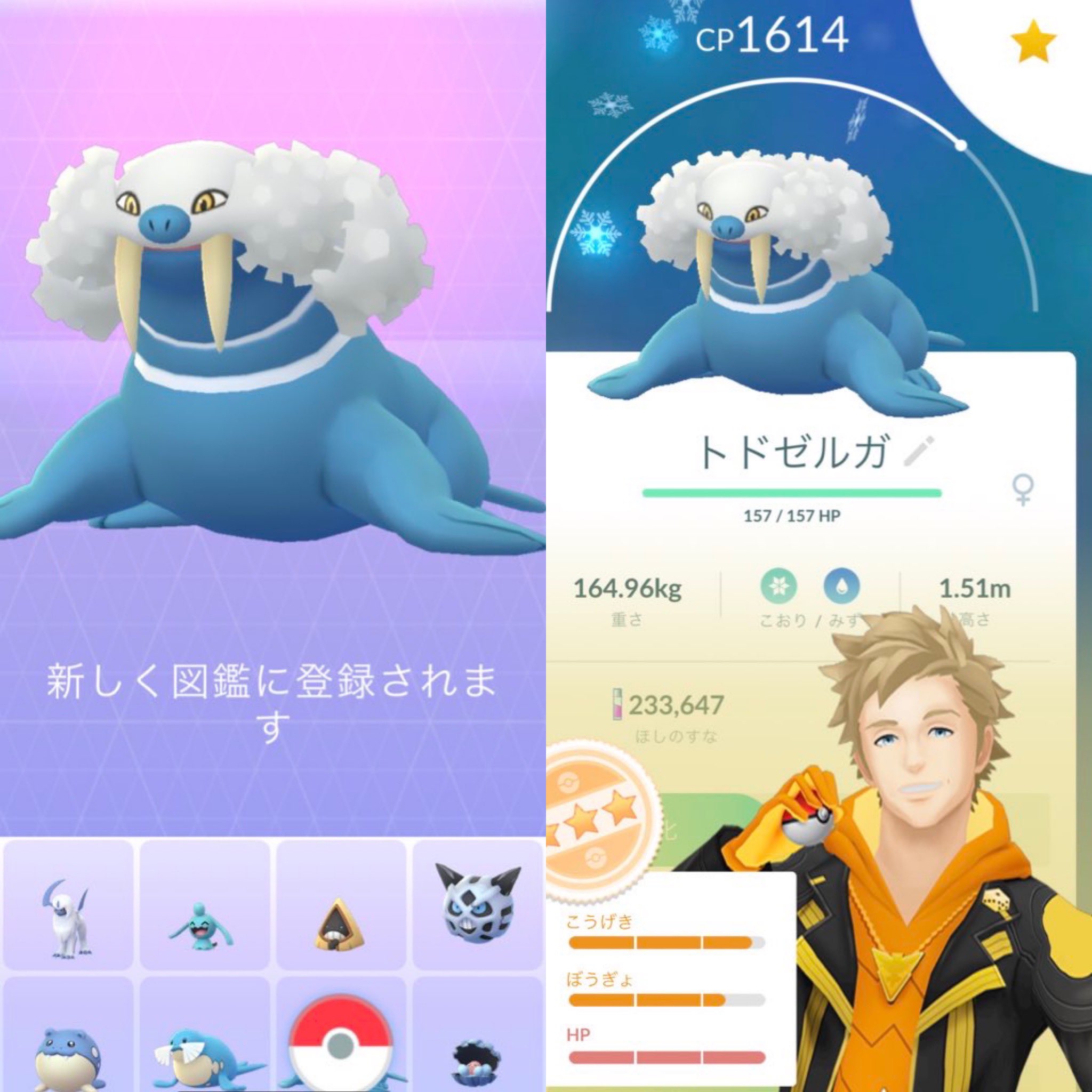 さいころ ポケモンgo ポケモンgoでタマザラシをトドグラーに進化しトドグラーをトドゼルガに進化 新しく図鑑に登録されました ポケモンgo T Co Ch8wfxvhed Twitter さいころ ポケモンgo ポケモンgoでタマザラシをトドグラーに進化しトドグラーをトドゼルガに進化 新しく図鑑に登録されました ポケモンgo T Co Ch8wfxvhed Twitter