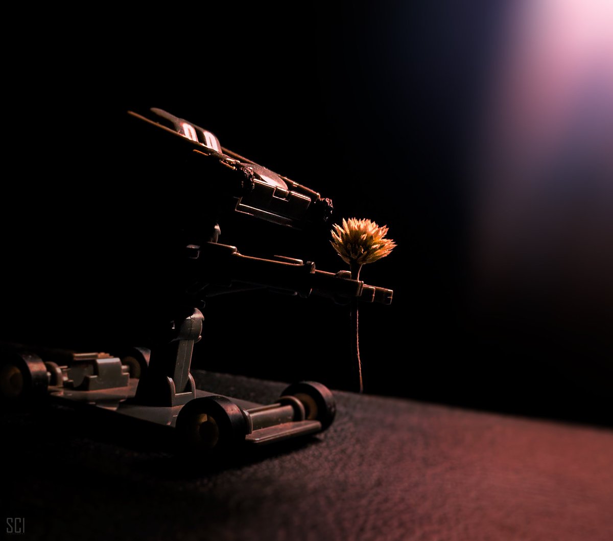 sciman_flint's tweet photo. I know things won't be the same again. I'm just here for the #Memories 🍂✨️
   - Richard the robot 🤖

#SciPhotography 📷 https://t.co/pSiC1GmfJn