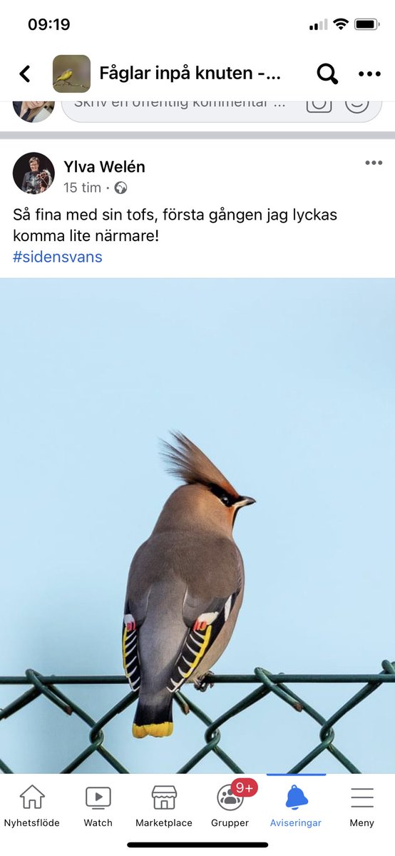 llagerstrand's tweet photo. Absolut bästa gruppen jag gått med i på facebook https://t.co/fbGhGdhyfS
