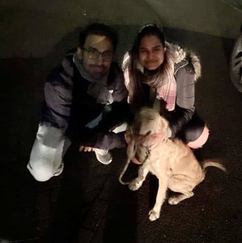 millypod1's tweet photo. NALA HOME SAFE. THANKS FOR RT's 😊🐕🐾

10 JAN 2022 NALA #Lost #ScanMe #Tagged
Golden Retriever Female (Spayed)
Watford General Hospital #Watford #Hertfordshire #WD18 
SIGHTINGS PLZ*
https://t.co/EgmUgHhkmM

https://t.co/5U9QgiJjQ4 https://t.co/NoCFGuHnhp