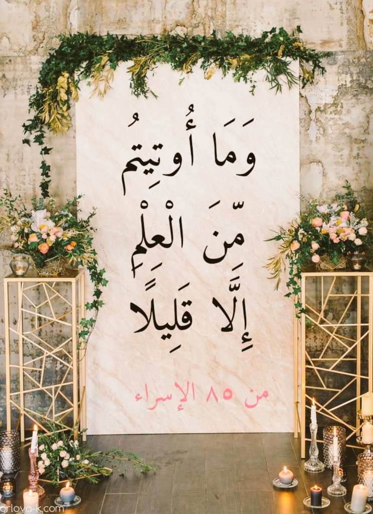 Géhane Essawy tweet media