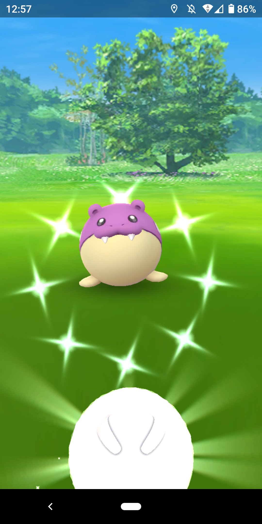 Tak W 皆さんお疲れ様でした 無事色違いゲット ポケモンgo ポケモン タマザラシ タマザラシコミュニティデイ T Co Cxvk1g6had Twitter