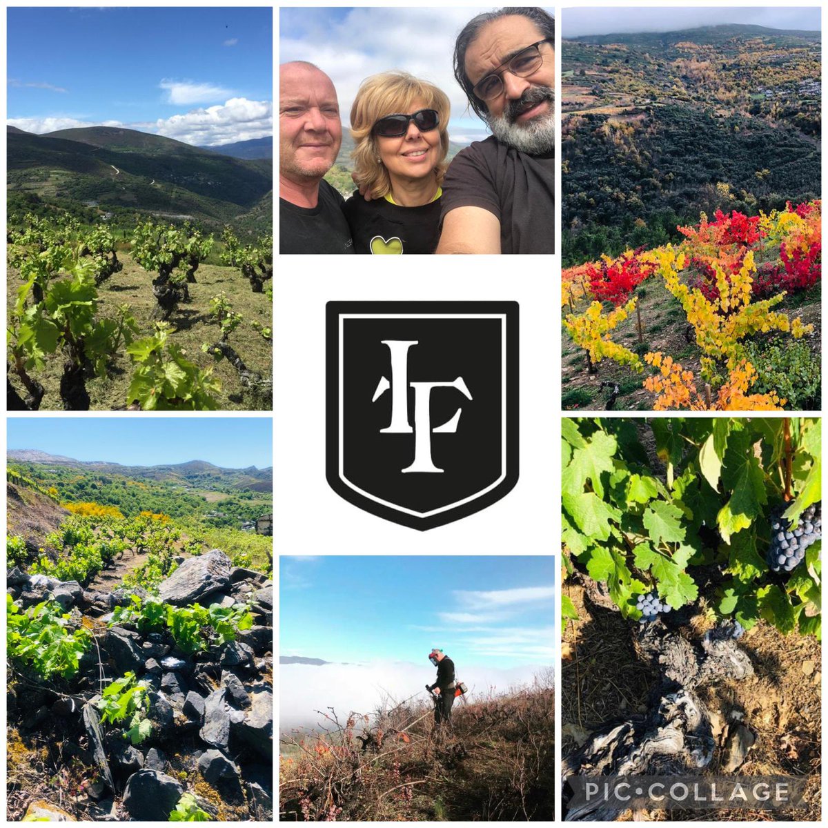 Adega O Cabalin se asienta en recuperar viñedos viejos y variedades autóctonas
Practica viticultura orgánica en equilibrio con el ecosistema

#artisanwineattraction #barcelonawineweek #barcelonawineweek2022 #bww2022 #bww #vino #vi #vin #wein #wine #winelover #winetime #wineporn