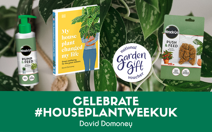daviddomoney's tweet photo. #Follow
#RT 
Reply #HouseplantWeekUK

For a chance to win a signed copy of #MyHousePlantChangedMyLife published by @dkbooks #MiracleGro houseplant food and a £25 National Gardening Gift Voucher.

Closes 17/01/22 at 0830am
UK Residents Only
T&amp;C's Apply 

Winners announced 18/01/22 https://t.co/UqcYRkq2xc