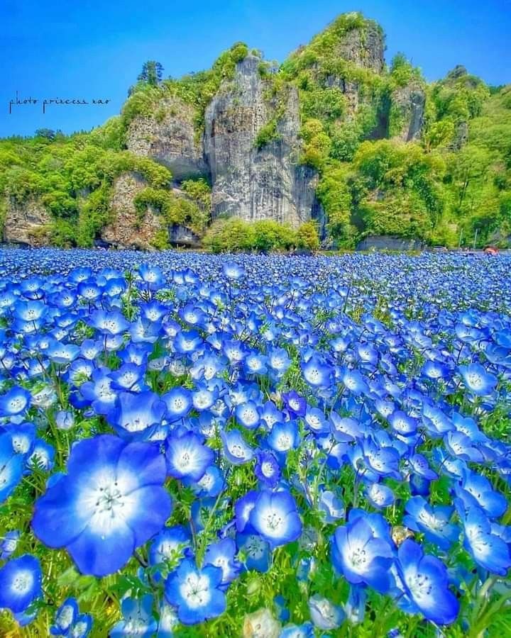 Fateme_14's tweet image. When you wish good for others, 
good things come back to you.

 💚💙 #Nature #sundayvibes 💙💚