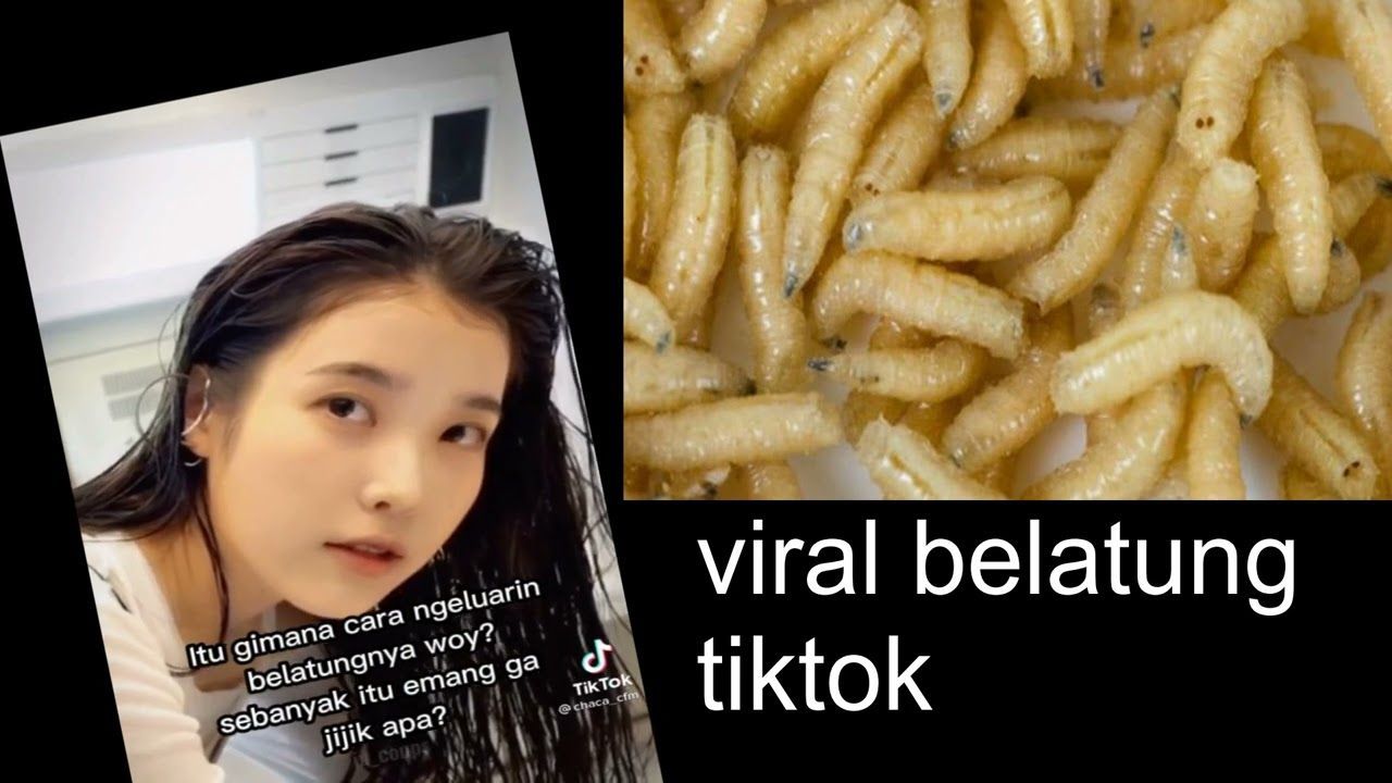 Viral tik Tok