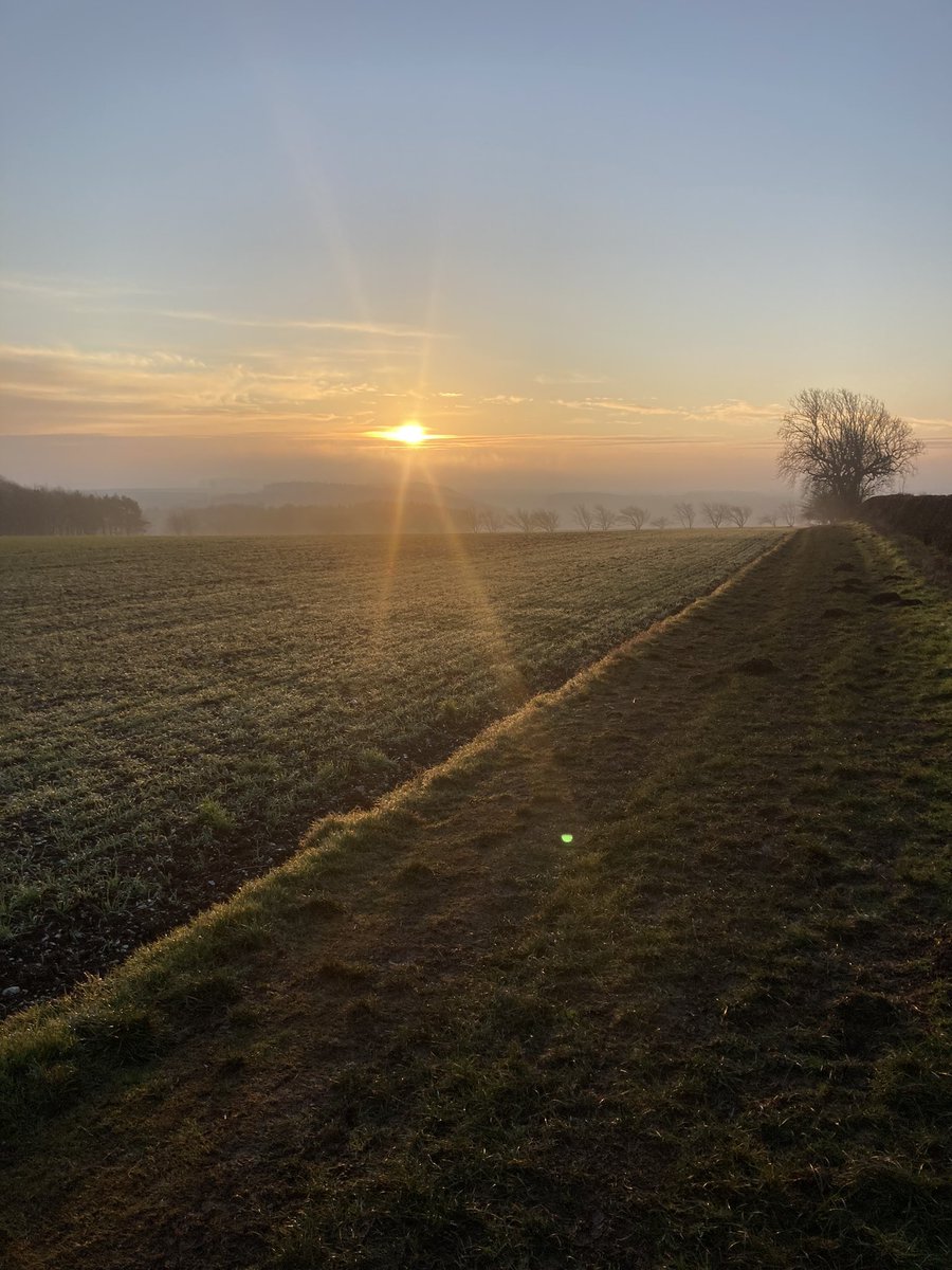 Nick Kerins tweet media