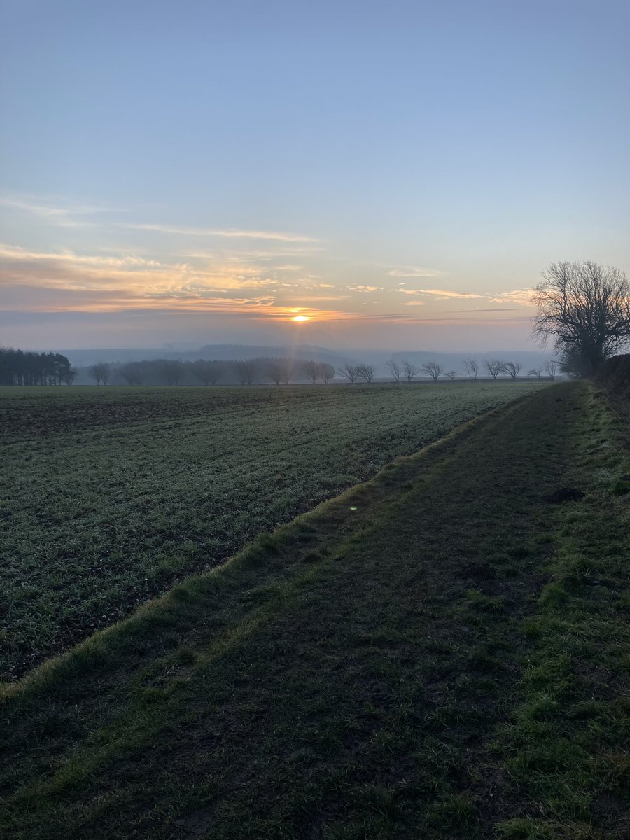 Nick Kerins tweet media