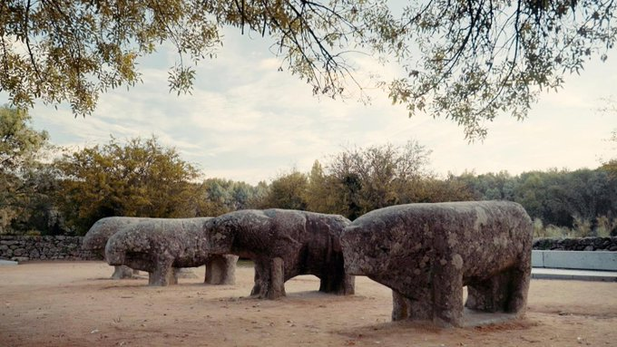 La 2ª entrega de la T7 de #LasRutasDAmbrosio en <a href="/la2_tve/">La 2</a> con <a href="/Gonzfd/">Gonzalo D'Ambrosio</a> llega a Ávila mejorando su resultado con un 3.1% de cuota, 355.000 espectadores y siendo visto en algún momento por 1.158.000 personas

#QueVivaLaTele #Audiencias