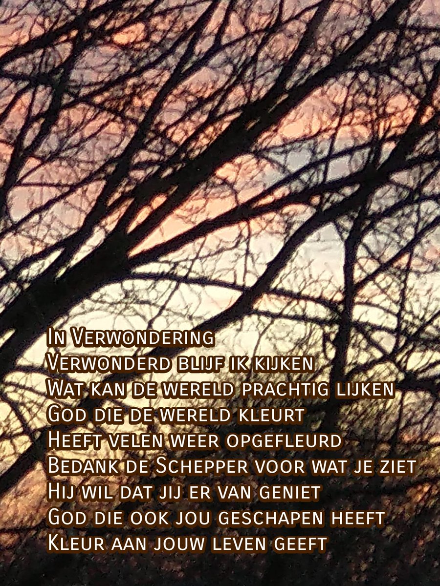 Verwondering
#gedichten #vergeetmijnietjes #ank