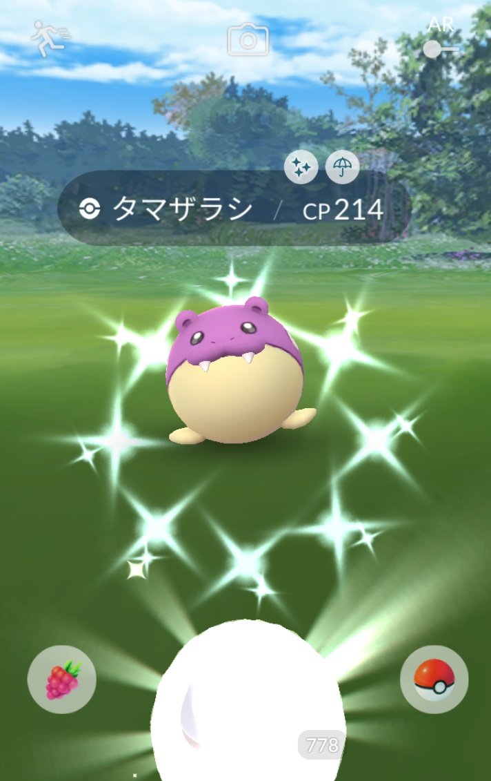 色違いタマザラシ Twitter Search Twitter