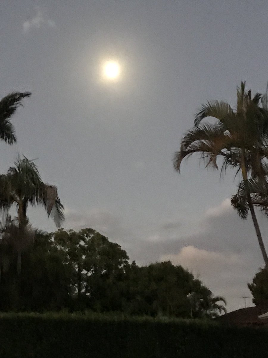 Safety Process and Audits (@andaudits) on Twitter photo 