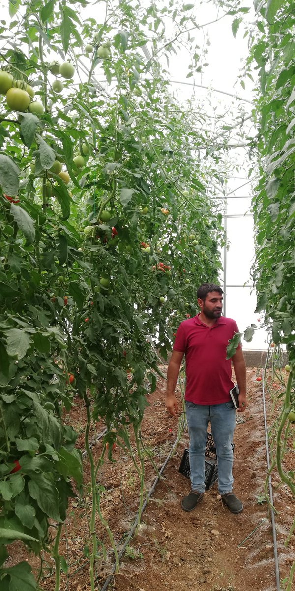 Uzun zamandır tarımsal yayım ve danışmanlık hizmetlerini yaygınlaştırıyor  çiftçilerimizi bilinçlendiriyoruz. Tarım Danışmanlığı Sisteminde mesleki ve özlük haklarımızın Avrupa Birliği standartlarında geliştirilmesi talebimizdir.  <a href="/bekirpakdemirli/">Dr. Bekir Pakdemirli</a> <a href="/tobeydb/">Eğitim ve Yayın Dairesi Başkanlığı</a> <a href="/aysinisikgece/">Ayşe Ayşin Işıkgece</a>