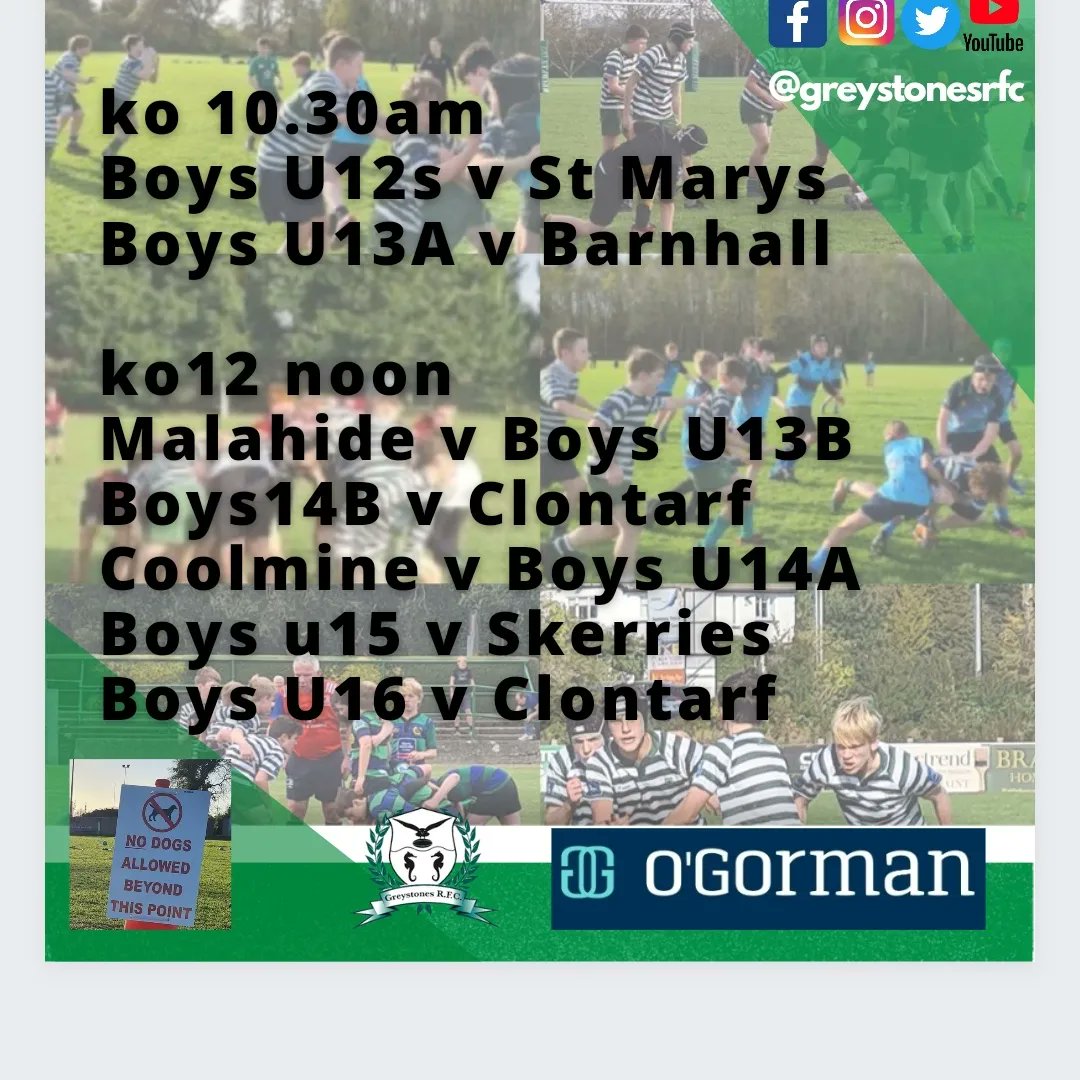 GreystonesRFC's tweet photo. Busy day coming up at Dr Hickey Park! #grfcMinis train from 9am #grfcYouths matches from 10.30am and #grfcWomen at 1pm v New Ross
~ all support much appreciated
#FromTheGroundUp #FromMiniToMighty #NothingLikeIt #grfcloveswomensrugby #ClubIsCommunity https://t.co/f2unedDWHZ
