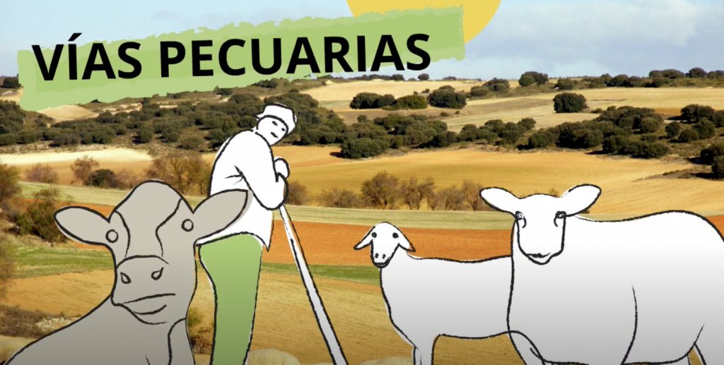 SEO/BirdLife tweet media