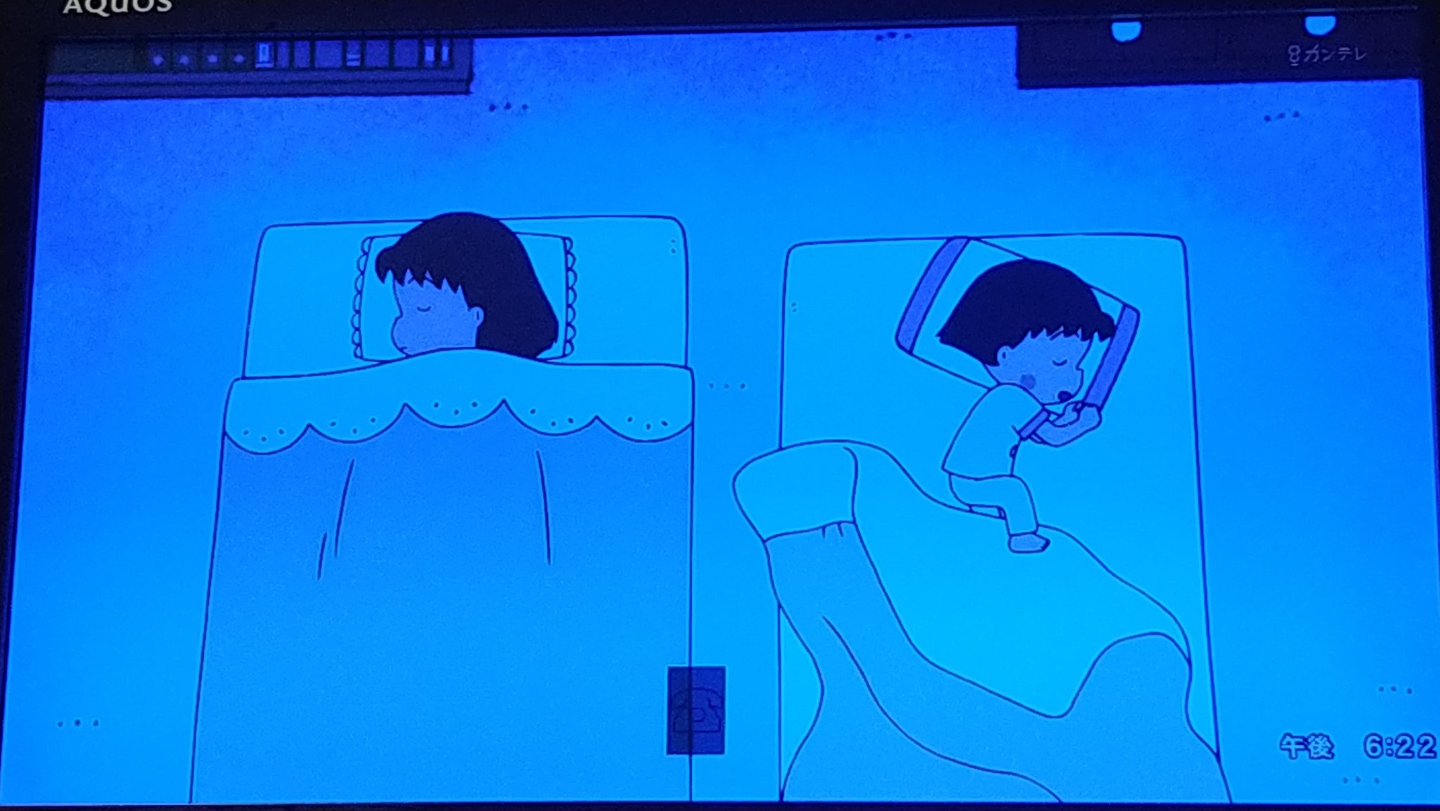 トリざかな on X: トリざかな on X: