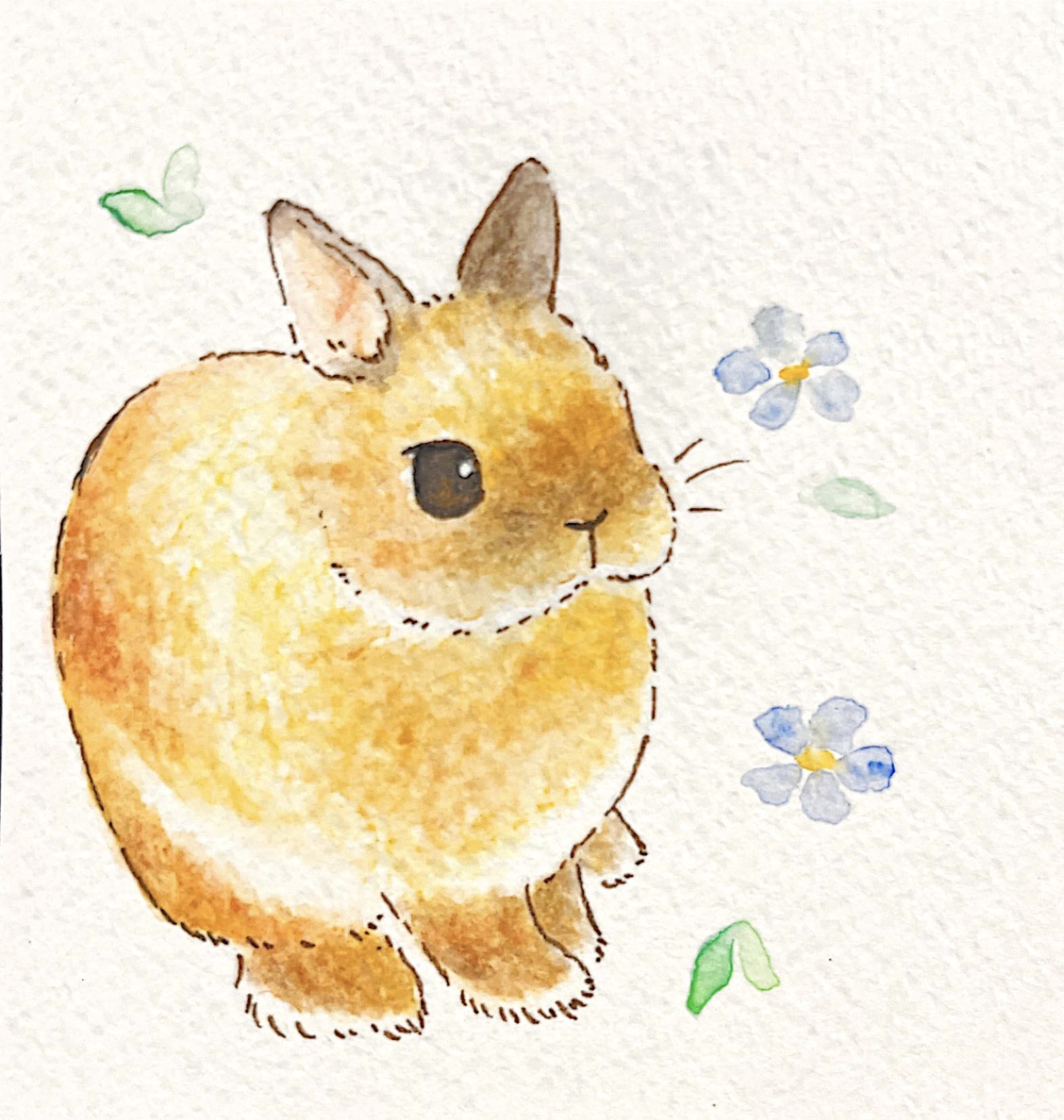 Twitter 上的 ひよこもち 水彩色鉛筆を手に入れた 少しずつ練習したいと思います 記念すべき1作目はおもち うさぎ うさぎ好きさんと繋がりたい イラスト うさぎイラスト イラスト好きな人と繋がりたい 絵描きさんと繋がたい 動物イラスト Rabbit