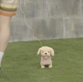 Jjkm975's tweet photo. NAMJOON LE DIJO AL PERRITO DE JUGUETE QUE FUERA Y MORDIERA A JIMIN Y JUNGKOOK🤣 https://t.co/hI5TczA6FK