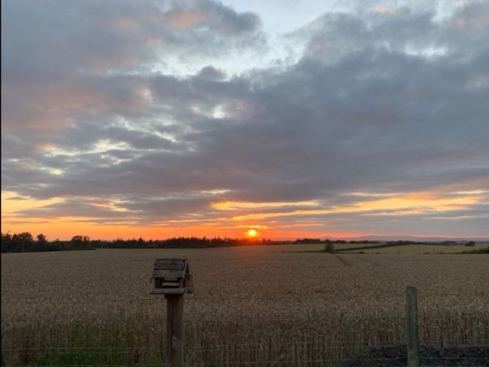 News for 2022 - mailchi.mp/732d2c3fe318/n…
Check out Border View Cottage and book your 2022 holiday in our beautifully renovated traditional cottage.