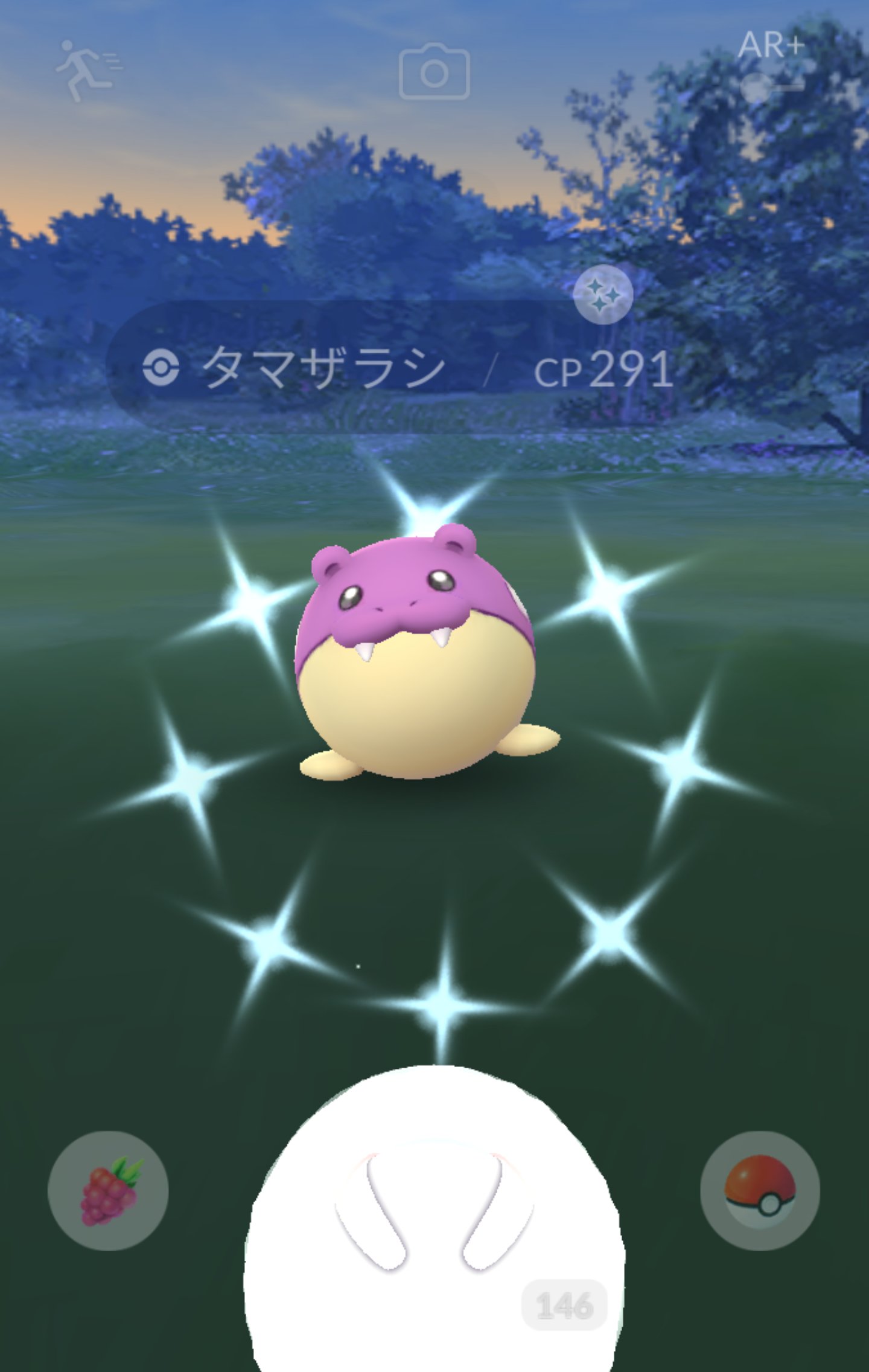 色違いタマザラシ Twitter Search Twitter