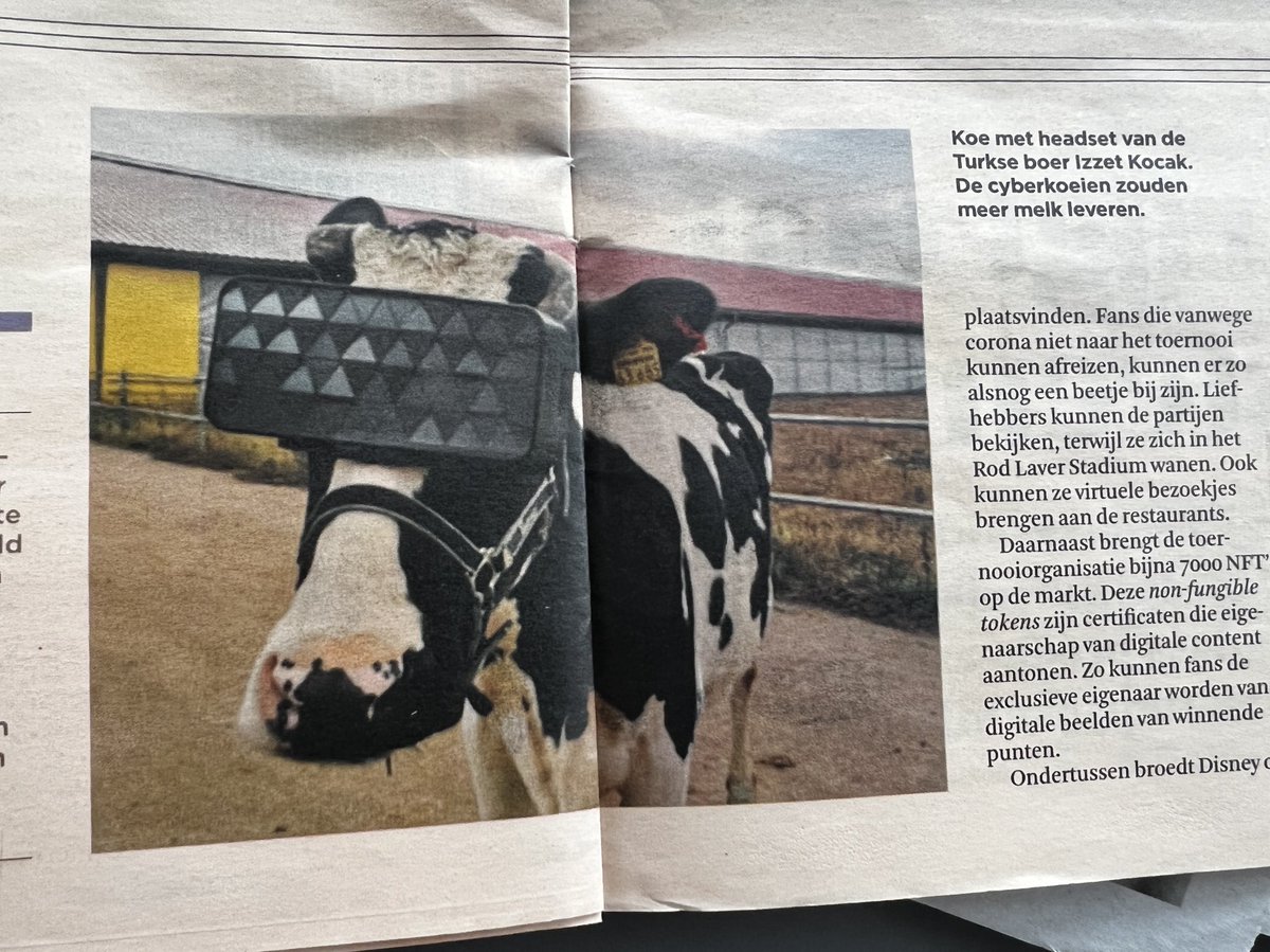 mdebeijer's tweet image. Animal VR 😂