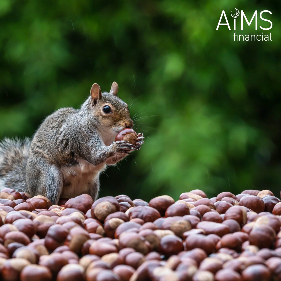 AiMSfinancial's tweet photo. Squirrelling away ‘little and often’ or even ‘as much as you can and often’ will prepare you for any eventuality. Top tip: automatic DDs save the hassle and ensure you're saving regularly https://t.co/aECd72tUpt #Savings #Investments #FinancialAdvisor #Ashford #FinancialWellbeing https://t.co/MzbQh0Ro8O