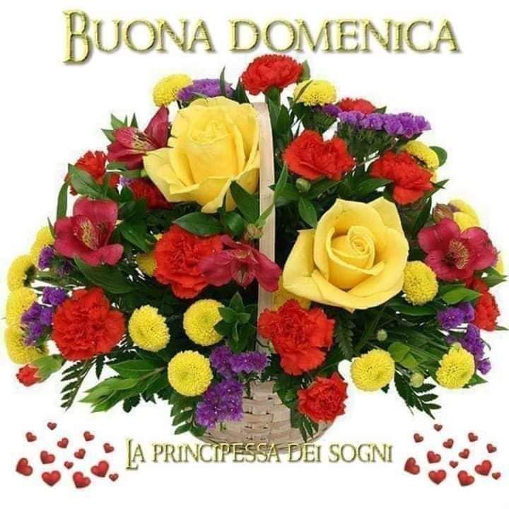 Lucia Pompili (@lucia_lupolab) on Twitter photo #Buongiorno #Buongiorno