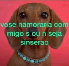 hein vose namoraria s ou n