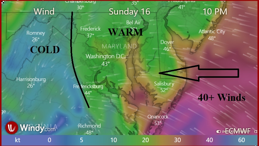 Michael Del Sontro tweet media