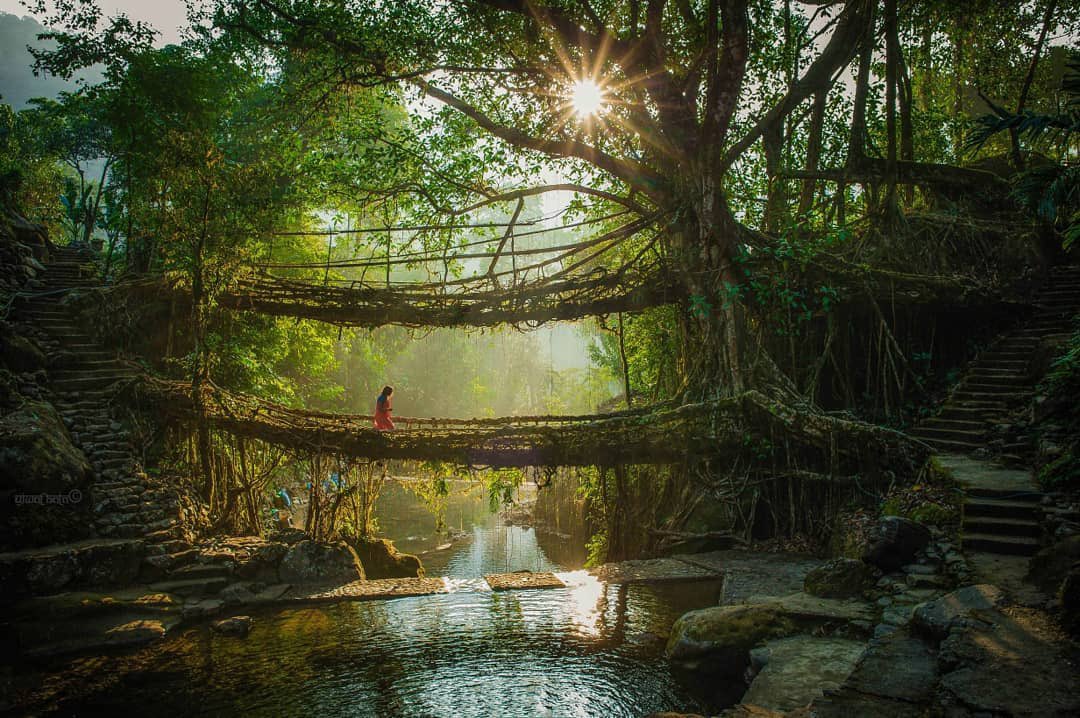 vibrantexp's tweet photo. Majestic #Meghalaya: From lush green forests to crystal clear lakes, from gushing waterfalls to illuminated caves, it's indeed a nature lover's paradise 🌊🌳
Set in a sea of white clouds overlooking the serene hills, it stays true to its name as the “abode of clouds” ⛅ https://t.co/5CO5REV3CD