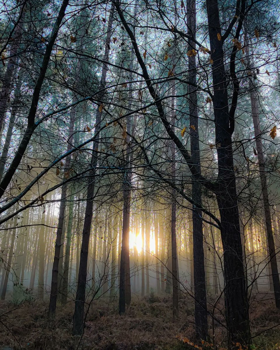ChristinaDove7's tweet image. Beautiful views on today's ride
.
More over on Instagram if you fancy a look: @duathlondove
.
Happy Sunday all
.
#merceractive #aatr #cycletography @ThePhotoHour @500px