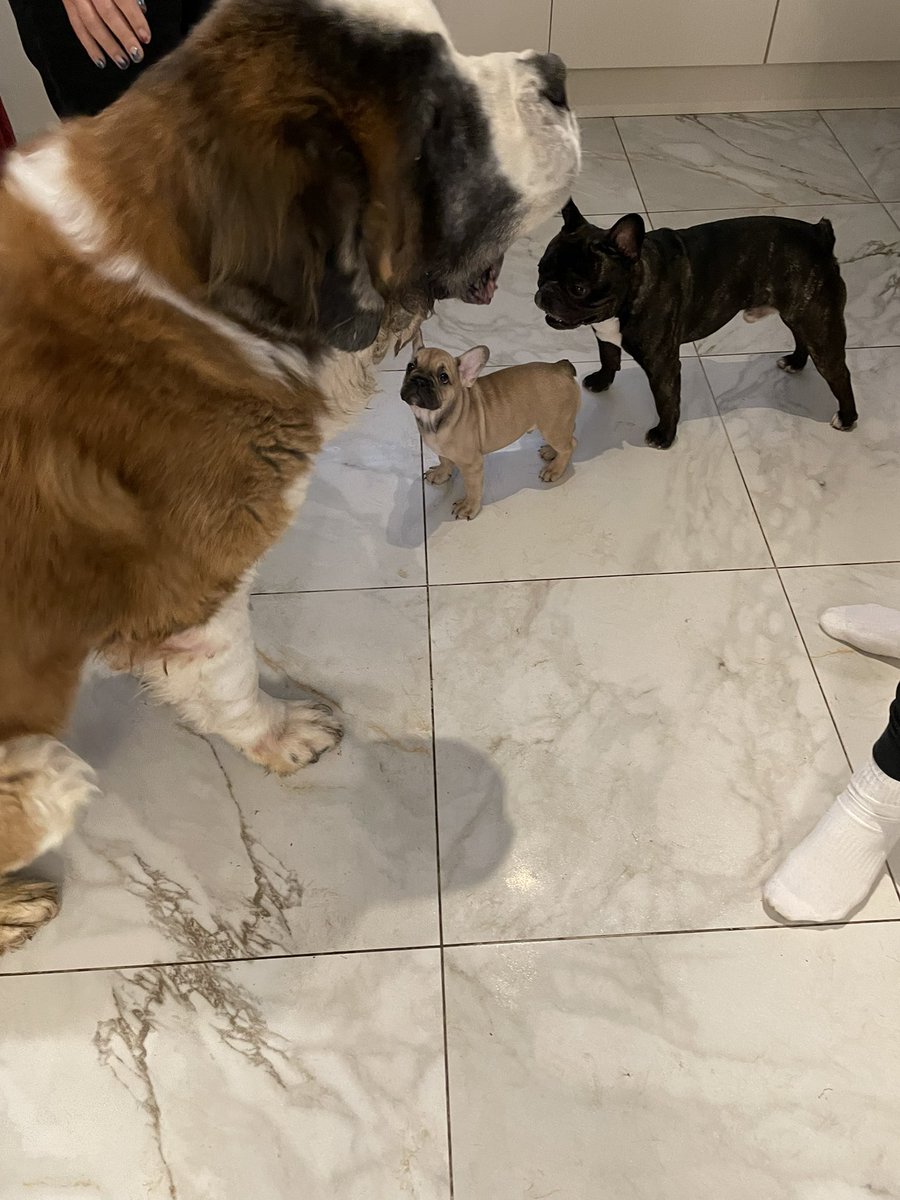 Hey big guy have you not seen me down here??